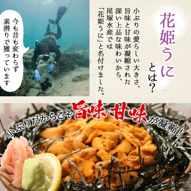 鹿児島県産うに使用！尾塚水産の生うに海水漬(70g×1本) 国産 鹿児島県産 阿久根市 雲丹 ウニ 魚介 魚貝 海産物 海鮮丼 瓶詰 瓶詰め 小分け セット 冷凍配送 刺身 海鮮丼【尾塚水産】a-12-336