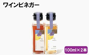 ワインビネガー2020紅白100ml 2本セット【1_1-057】