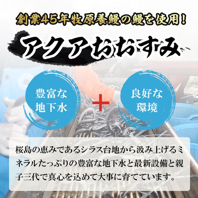 【187045】＜定期便・全10回＞東串良町のうなぎ蒲焼(無頭)(2尾・計約540g・タレ、山椒付×10回)【アクアおおすみ】