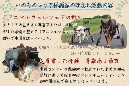＜保健所犬猫レスキュー【返礼品なしのご寄附】＞寄付金額100,000円※お礼状をお送りいたします。【返礼品なし 保護 動物愛護 いぬ ねこ イヌ ネコ 応援 宮崎県 国富町 いのちのはうす保護家】【a0625_in】