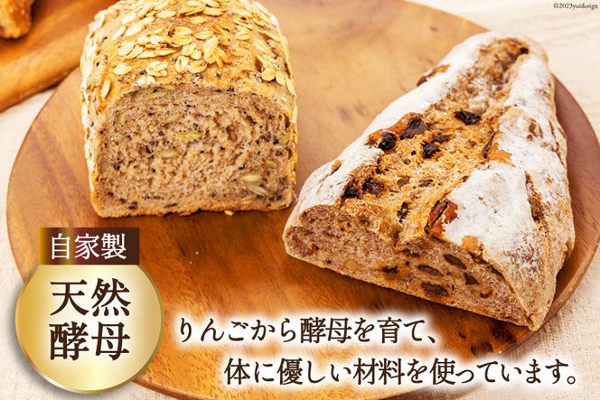 パン 定番パン5種 セット [しぜん酵母と石窯ぱん bungaーぶんがー 長野県 池田町 48110556] 手作りパン 天然酵母 自家製酵母 窯焼きパン ハードパン 長野県産