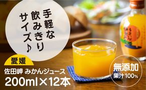 【愛媛県産】うまいがぜ伊方みかんジュース（200ml×12本） ストレート果汁100％　※2024年12月頃より順次発送予定