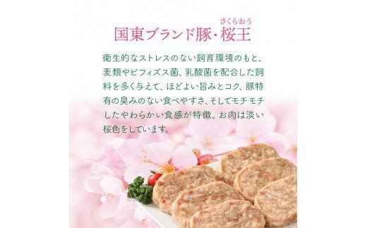 豊後牛と桜王豚のＷハンバーグ2kgセット_1485R