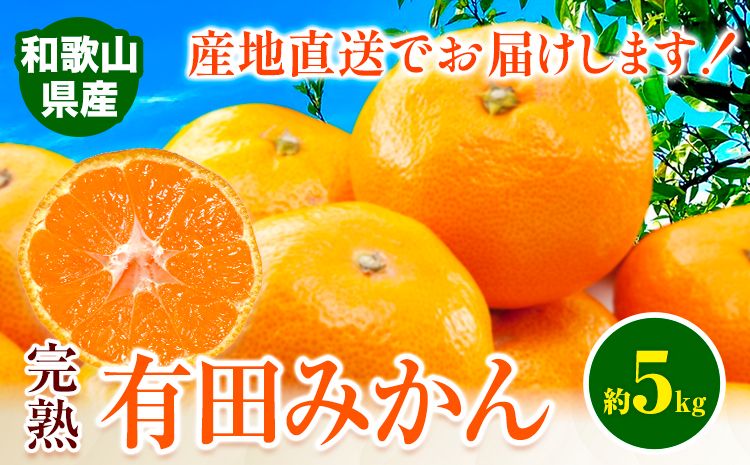 みかん 完熟有田みかん 約 5kg 有田マルシェ[11月下旬-1月中旬頃出荷予定] 和歌山県 日高町 みかん 有田 みかん 柑橘 フルーツ 完熟 ミカン 蜜柑 送料無料---wsh_arm1_h111_23_9000_5kg---