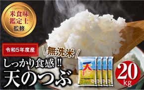 ＼ 年内発送 12/24(火)決済完了分まで！／【 新米 】【 無洗米 】 令和6年産 田村産 天のつぶ 20kg ( 5kg × 4袋 ) 先行予約 精米 白米 贈答 ギフト プレゼント 美味しい 米 kome コメ ご飯 ブランド米 精米したて お米マイスター 匠 食味鑑定士 福島 ふくしま 田村 安藤米穀店