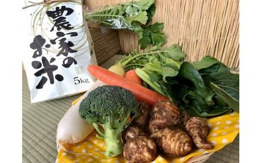 KBE-10　3ヵ月定期便【栽培期間農薬不使用】お米と季節の野菜（4～5品）