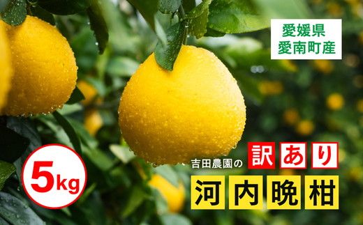 yQkFaSSkz󂠂 ͓ӊ5kgiƒpj k  ʕ Y t[c ݂  󂠂 ƒp a O[vt[c uh Q ʎ r^~  2026N4{`8{ɏ\