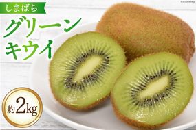 AG077【令和7年度出荷分】 数量限定 しまばら グリーンキウイ 約2kg