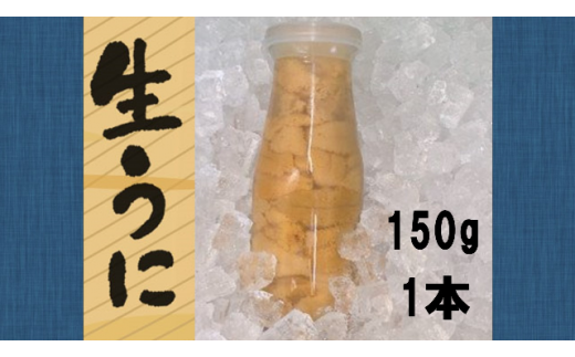 【5月より発送】岩手三陸生うに牛乳瓶入150g×1本 ミョウバン不使用　【配送日指定不可】［19］【0tsuchi00903】