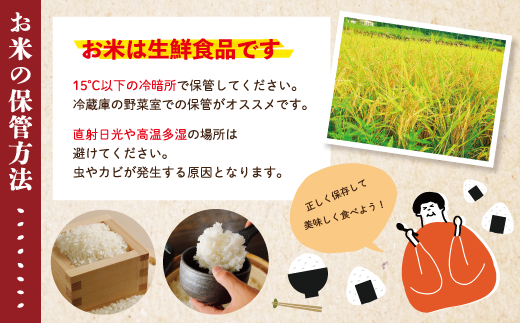 R6-148．【令和6年産新米・早期受付】四万十のこしひかり5kg【2024年9月より順次配送】