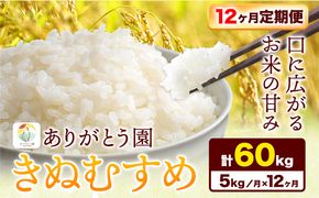 【12ヶ月定期便】 令和6年産 米 岡山県産 きぬむすめ 白米 5kg ありがとう園《お申込み月の翌月から出荷開始》岡山県 矢掛町 米 コメ 一等米 定期便 定期---osy_aekhtei_23_124500_mo12num_5---