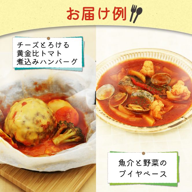 訳あり お惣菜 セット レンジで簡単 5種以上 10食セット  レトルト 詰合せ 簡単 カンタンおかず 料理 静岡 国産 冷凍 お弁当 おかず レンジ 調理 ハンバーグ 洋食 和食 洋風 和風  肉 魚 野菜 煮物 おつまみ [ PT0074-000005 ]