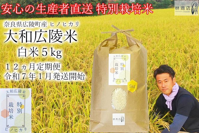 【定期便先行予約】【令和8年 1月～ 12ヶ月定期便】　特別栽培米　奈良県広陵町産ヒノヒカリ　白米5kg×12ヶ月 /// ひのひかり ヒノヒカリ ブランド米 大和米 白米 安心 安全 美味しい 人気 奈良県 広陵町 特別栽培米
