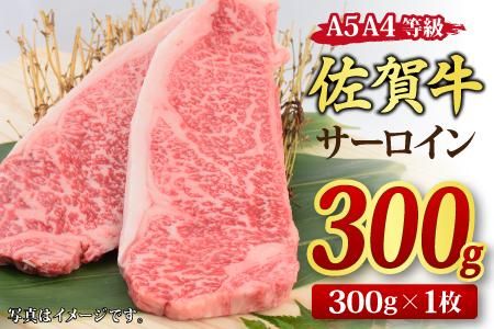 yꌧ_szꋍ T[CXe[L 300gx1 A5 A4 y Ya    Xe[Lz(H085181)