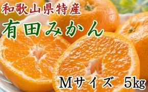 [秀品]和歌山有田みかん約5kg (Mサイズ) ★2024年11月中旬頃より順次発送    BZ031