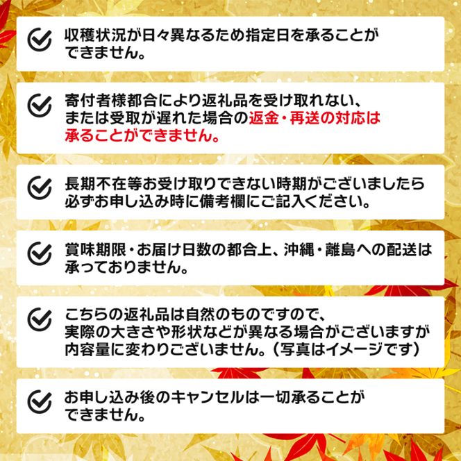 【予約受付中】 鮮さんま 8本入 （1尾 100g~120g） 岩手大船渡産 サンマ 秋刀魚 [oikawa011_1]