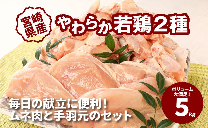 スピード発送!!7日〜10日営業日以内に発送★ 宮崎県産鶏 やわらか若鶏2種5kg K16_0016_3