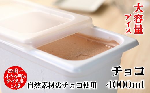 【四国一小さなまちのアイス屋さん】≪松崎冷菓≫大容量アイス 4000ml ★チョコ★ 4l アイスクリーム スイーツ デザート おすすめ 美味しい 高知県 田野町