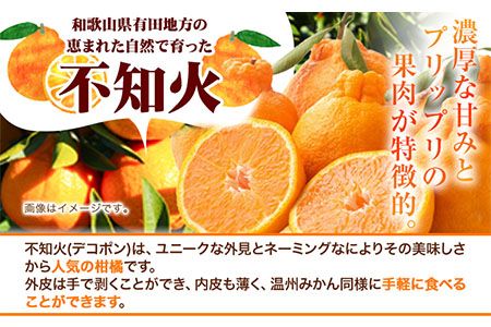 訳あり 不知火 デコポン 同品種 みかん ご家庭用 2.5kg+250g(傷み補償分) 池田鹿蔵農園 @日高町 《2月上旬-3月末頃より出荷予定》和歌山県 日高町 送料無料 しらぬい でこぽん 家庭用 訳あり不知火 訳ありデコポン 【配送不可地域あり】---wsh_idn334_2j3m_25_10000_2500g---