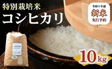 【1-9】（新米予約9月以降発送）コシヒカリ（特別栽培米）10kg