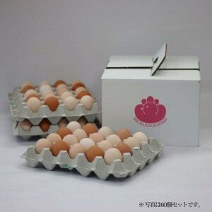 純国産鶏さくらちゃんが産んだ桜色のさくら玉子の五分咲き80個◇