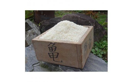 6回 定期便 希少品種米 ササシグレ 精米 10kg×6回 総計60kg / 長沼 太一 / 宮城県 加美町