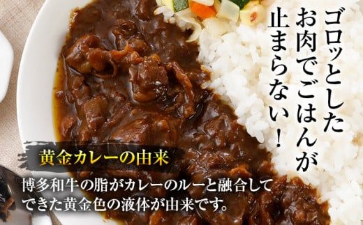 博多和牛　黄金カレー