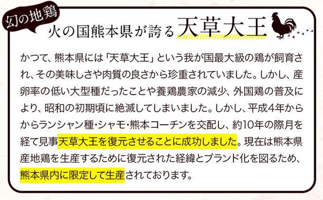 【幻の地鶏】天草大王大手羽セット ４本入り 約650g以上 大海水産株式会社《45日以内に出荷予定(土日祝除く)》熊本県 長洲町 地鶏 チキン 鶏肉 手羽先 手羽元 大手羽 照り焼き 冷凍 送料無料---sn_fadotb_45d_r8_12000_650g---