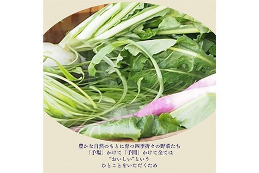 【定期便】《近為》四季の味わい　京つけものお楽しみ頒布会(漬物コース)※全５回