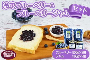 ＜冷凍ブルーベリー(500g×2袋)＆ブルーベリージャム(260g×2個)セット＞翌月末迄に順次出荷【a0134_ye_x1】