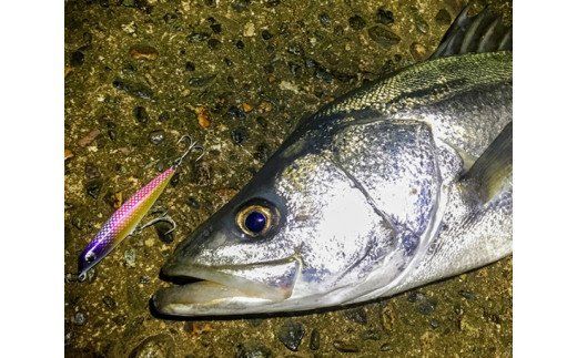 HUNT88　（シーバス専用ルアー） [ハッサク工房 石川県 宝達志水町 38600509]