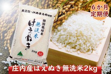 ＜6月中旬発送＞庄内米6か月定期便！特別栽培米はえぬき無洗米2kg（入金期限：2024.5.25）