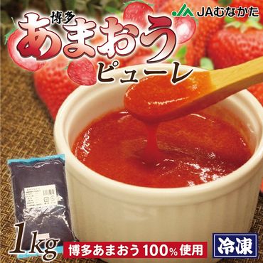 冷凍「博多あまおうピューレ」1kg【JAほたるの里】_HA1044