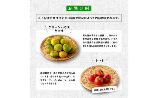 野菜 【定期便】産直おすず村 季節の野菜と果物 厳選 詰め合わせセット（大）【 旬野菜 フルーツ 直売所 産地直送 宮崎県産 】☆[G3804]