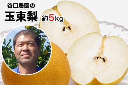 『谷口農園』の玉東梨　約5kg 予約受付中《8月中旬-10月上旬頃出荷》【日付指定・品種指定不可】 熊本県 玉名郡 玉東町 梨 ナシ フルーツ 果物 送料無料 ギフト 贈答---sg_ctaninashi_g810_r8_14000_5kg---