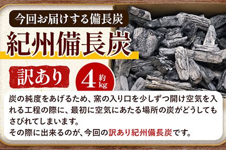 紀州備長炭 訳あり 約4kg 望商店 《30日以内に出荷予定(土日祝除く)》 和歌山県 日高川町 備長炭 紀州備長炭 炭 約4kg 高級白炭---wshg_nzm2_30d_23_15000_4kg---