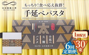 【6回定期便】手延べ太麺パスタ 1.5kg  (50g×30束) / スパゲッティ 麺 乾麺 / 南島原市 / 池田製麺工房[SDA071]