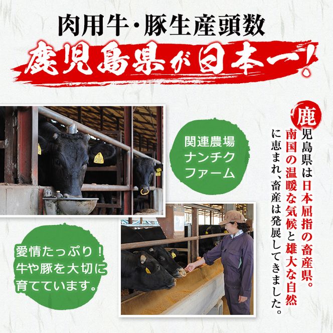 【鹿児島県産黒毛和牛・黒豚】お家でいただく極上 焼肉セット(チーズウインナー＆タレ付き)計1.3kg以上 b5-180