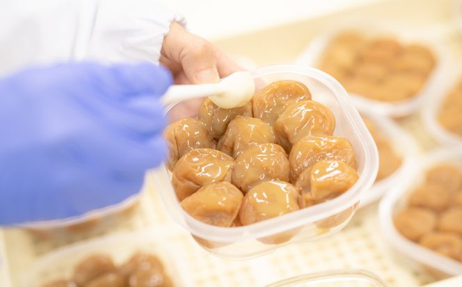 百福梅　個包装十二福　木箱入り有田みかん蜂蜜梅12個入（300ｇ）E003