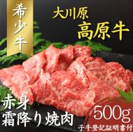 【CF】大川原高原牛 赤身霜降り焼肉　500g《60日以内に出荷予定(土日祝除く)》---sanagouchi_nfw_2_500g---
