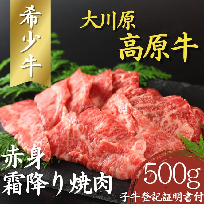 【CF】大川原高原牛 赤身・霜降り焼肉　500g