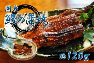 国産　鰻の蒲焼　【0052-005】