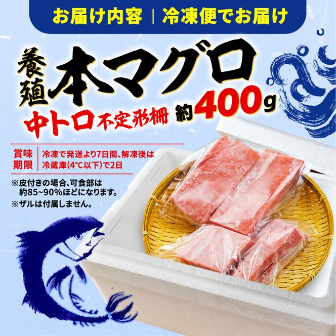 訳あり 本まぐろ 中とろ 刺身用 約400g 不定型柵 本鮪 まぐろ [ PT0014-000010-X2 ]