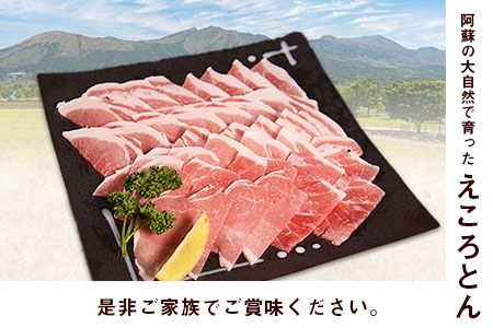 えころとん豚ウデ 丁寧小間切れセット《60日以内に出荷予定(土日祝除く)》1500g(500g×3) 熊本県産 有限会社ファームヨシダ---so_ffarmyude_60d_24_12500_1500g---
