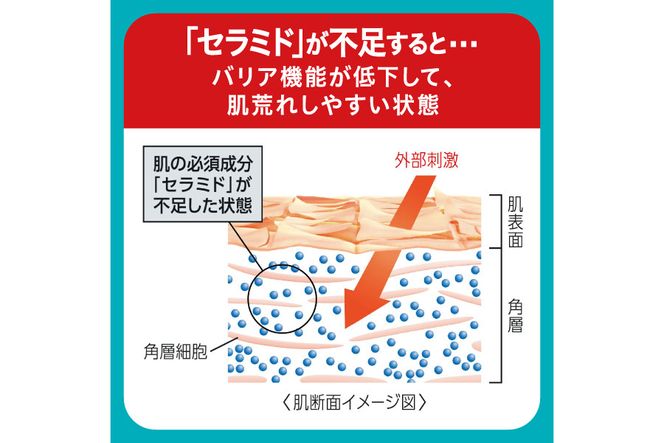 125-2503　定期便3ヶ月 花王 キュレル　潤浸保湿乳液【化粧品 コスメ 敏感肌 乾燥 紫外線 セラミドケア 乾燥肌 保湿ケア 保湿 低刺激 キュレル 乳液 潤浸保湿 医薬部外品 肌荒れ スキンケア 潤い 120ml 神奈川県 小田原市 】