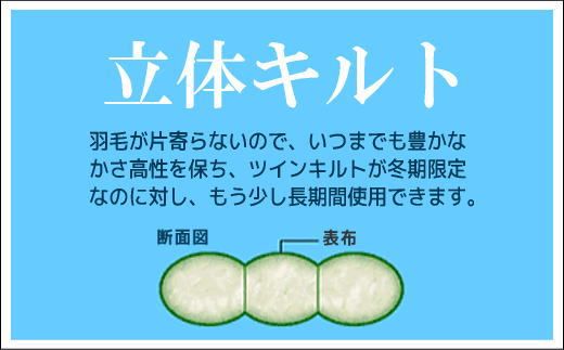 AM014【クイーン】【プレミアムゴールドラベル】コウダ種ポーランドマザーグース95％羽毛掛け布団【新津】｜掛け布団