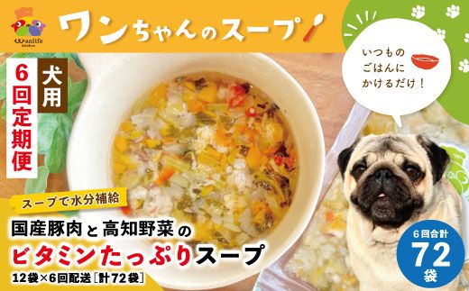 23-431．【6回定期便】いつものごはんにかけるだけ！国産豚肉と高知野菜のビタミンたっぷりスープ 12袋セット×6回配送（合計72袋）【ペットフード】