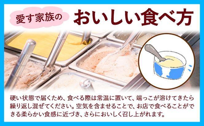 ひまわりの種ジェラート 30個セット 笠岡ジェラート工房ハッピーのカップアイス 《45日以内に出荷予定(土日祝除く)》ジェラート アイス アイスクリーム ミルク ヒマワリの種 デザート---H-13---