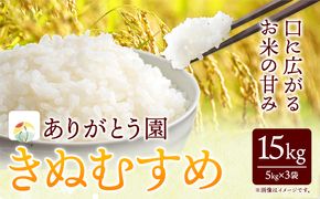  令和6年産 米 岡山県産 きぬむすめ 白米 15kg ありがとう園《30日以内に出荷予定(土日祝除く)》岡山県 矢掛町 米 コメ 一等米---osy_agekmh_30d_23_27500_15kg---