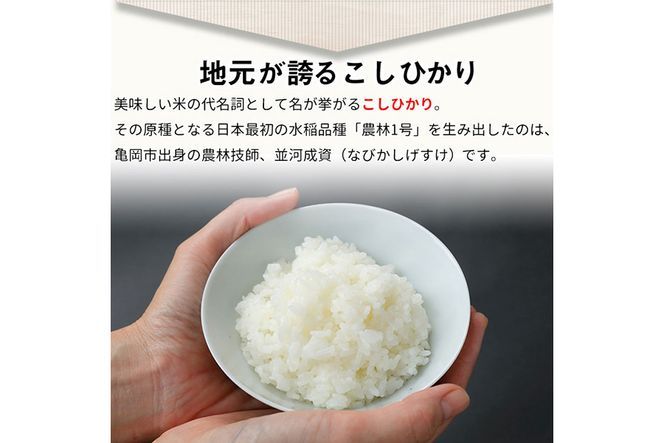 【寄附額改定】米 京都丹波米 10kg(こしひかり5kg・きぬひかり5kg) 米 白米 ※精米したてを お届け◇◆◇ ｜ 米 食べ比べ 緊急支援 米・食味鑑定士 厳選 コシヒカリ 京都丹波産 ※北海道・沖縄・離島への配送不可【～3月31日まで】